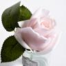 96CN-R4600 Диффузор Rose Bud French Pink,спрей Winter in Chatou 5мл уп в Екатеринбурге